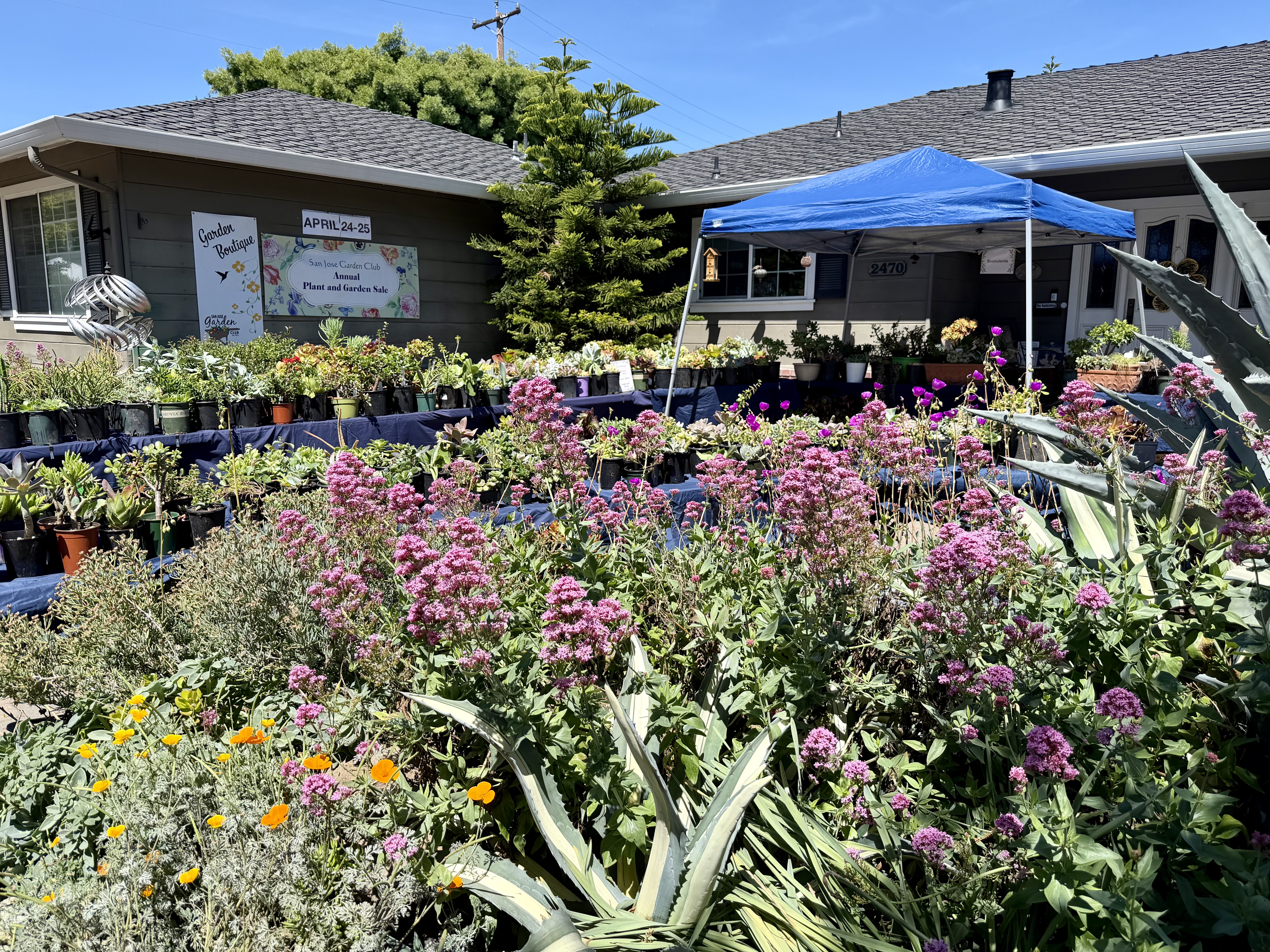 San Jose Garden Club - Growing Community Since 1972 | San Jose Garden Club